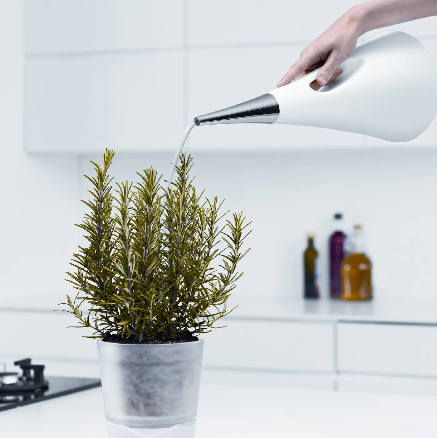 konewka do kwiatów domowych AquaStar Eva Solo Natural Home Decor