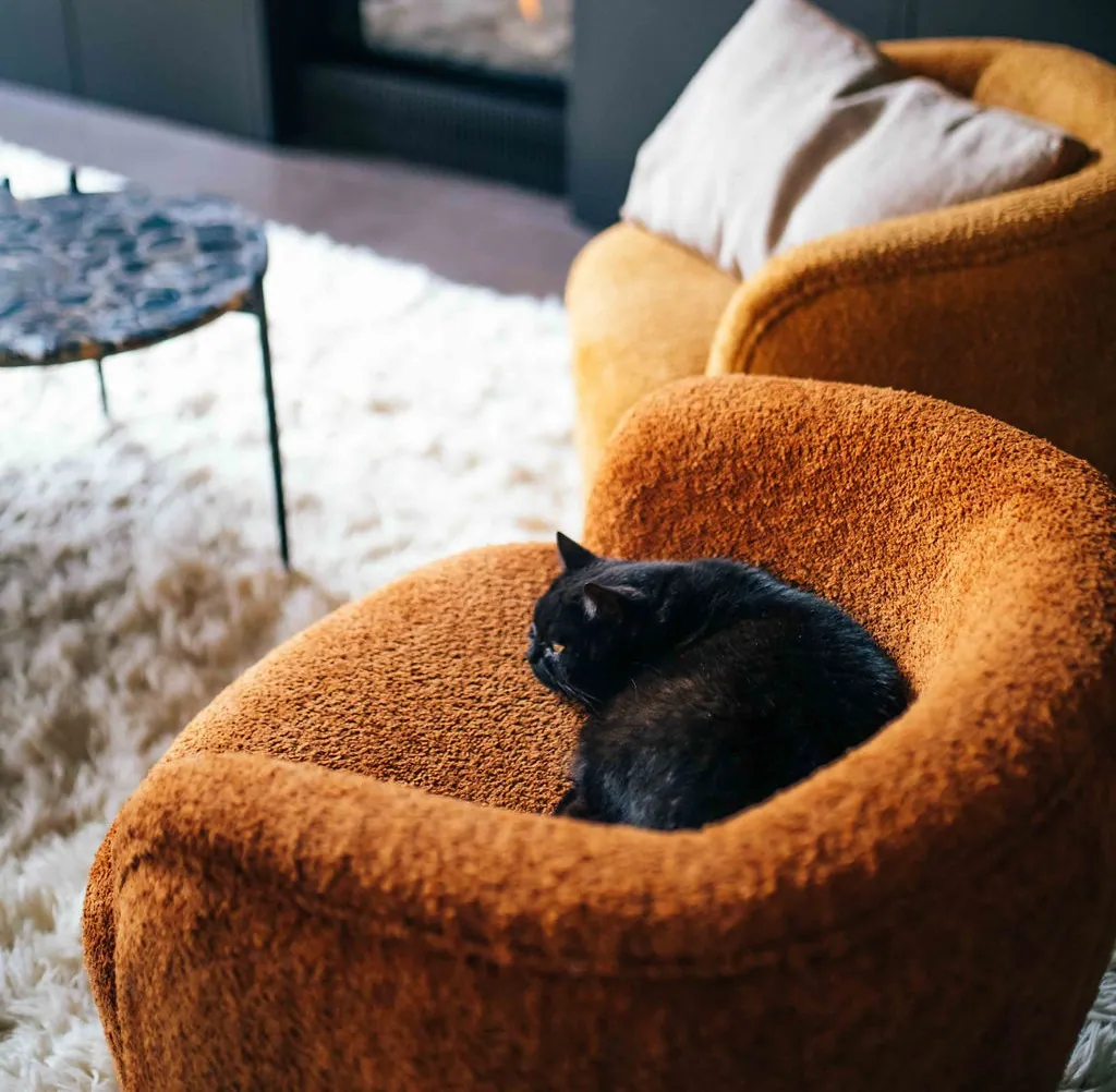 Fotel tapicerowany do salonu, sklep meblowy Naturalhomedecor